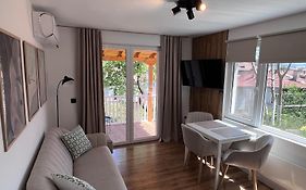 Black Cat Apartment